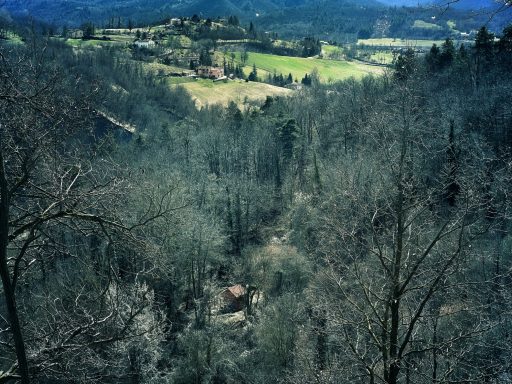 Strellas' little house in the forest - Ceva - Alta Langa - Piemonte