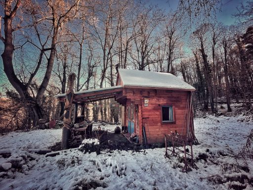 Strellas' little house in the forest - Ceva - Alta Langa - Piemonte
