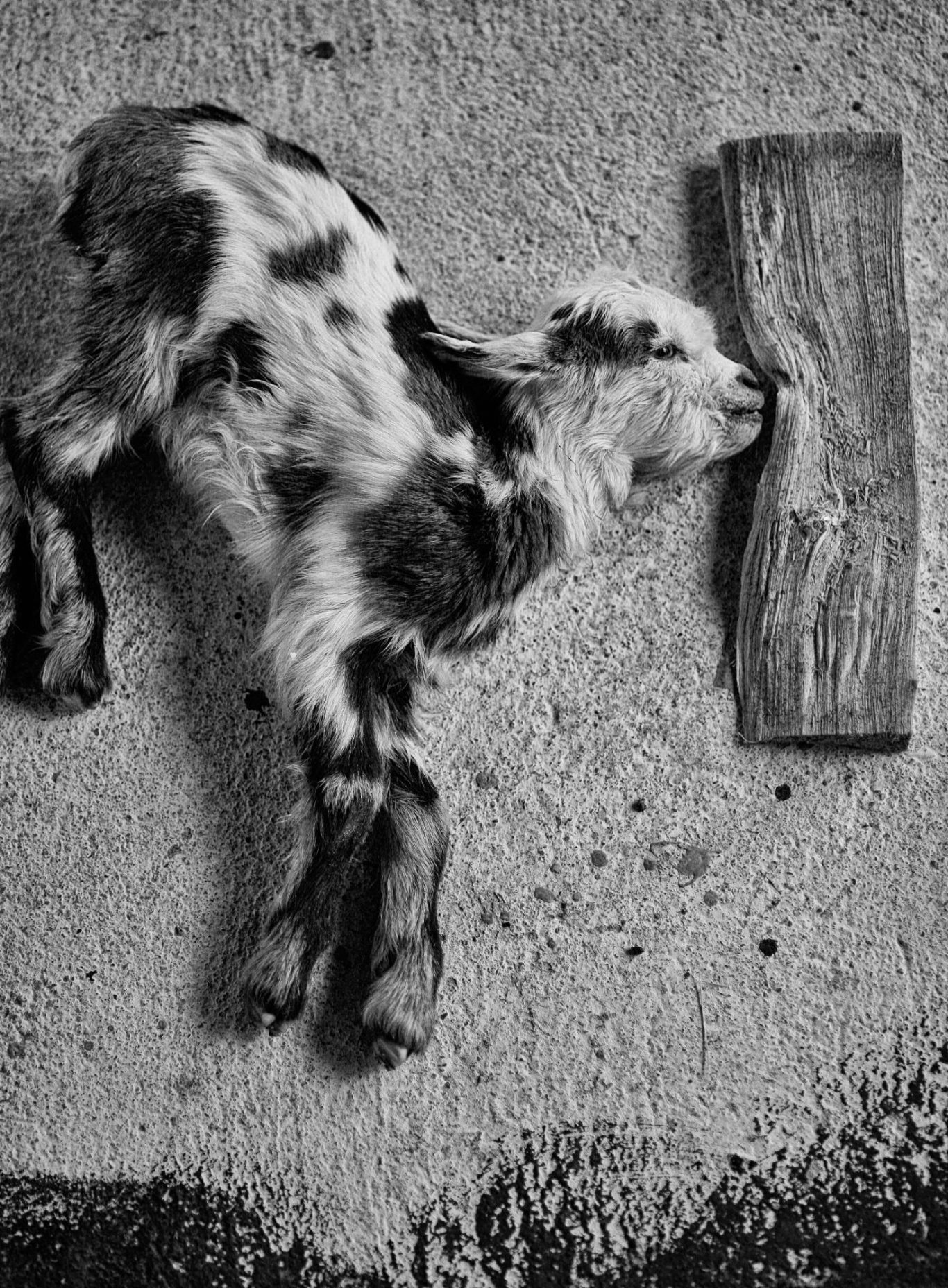 the earth landing project - capretta fotograaf - floris andrea - portret | ritratto| portrait| ceva - piemonte | artist| kunstenaar| artista