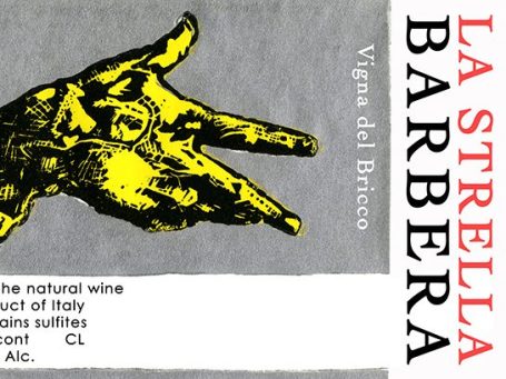 la strella barbera  - piemonte- langhe - red wine - vigna dell bricco