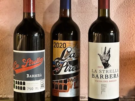 la strella barbera  | piemonte| langhe| red wine| vigna dell bricco