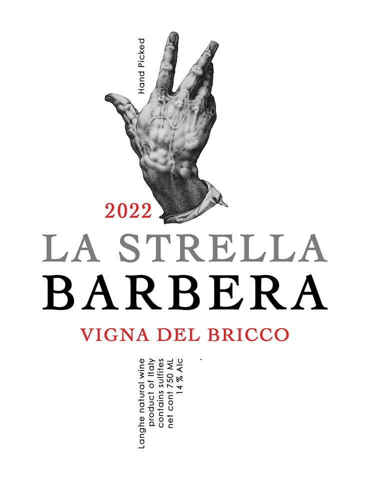 la strella barbera  - piemonte- langhe - red wine- vigna dell bricco